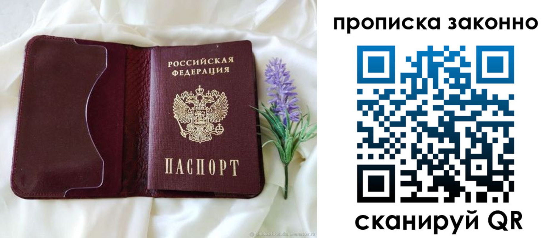 регистрация в Лузе